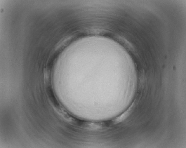 X0000082720166200702232331