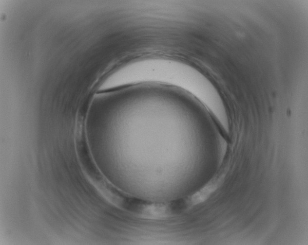 X0000082720168200702232331