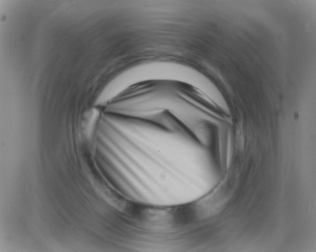 X0000082720170200702232331
