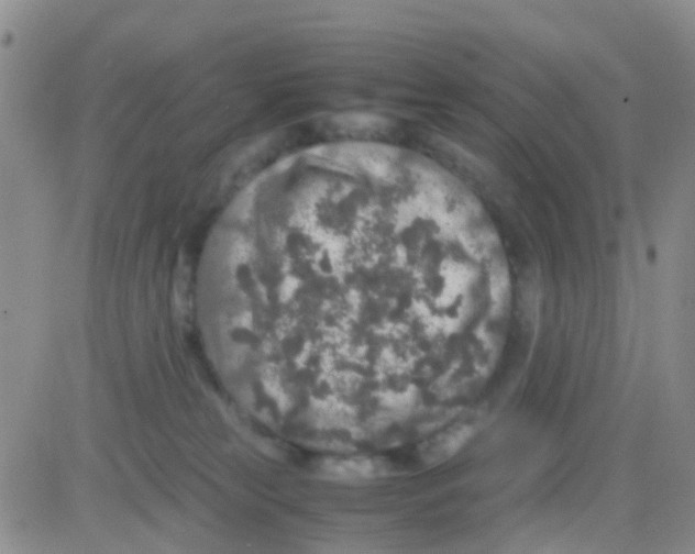 X0000082720181200702232331