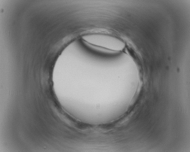 X0000082720201200702232330