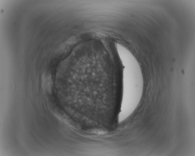 X0000082720223200702232330