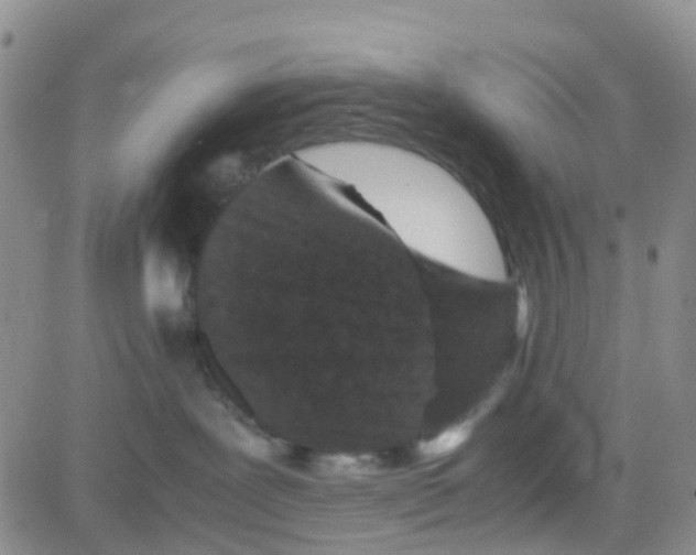 X0000082720239200702232329