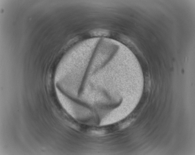 X0000082720263200702232329