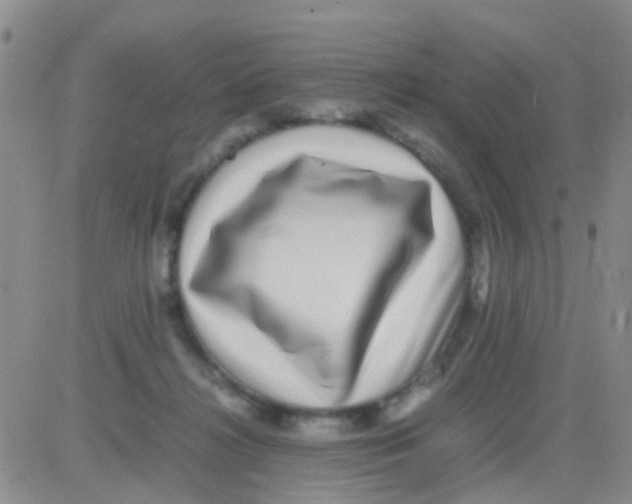 X0000082720268200702232329