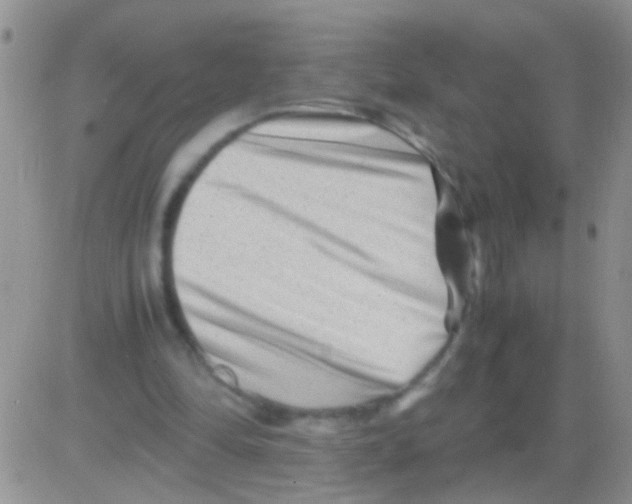 X0000082720294200702232328