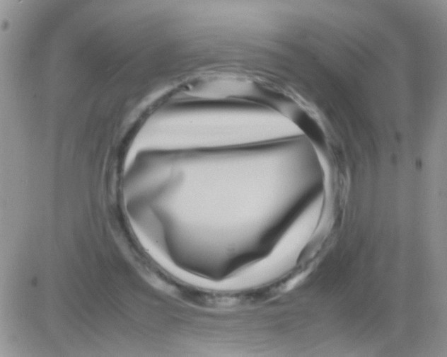 X0000082720301200702232328