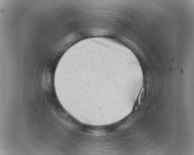 X0000082720308200702232328