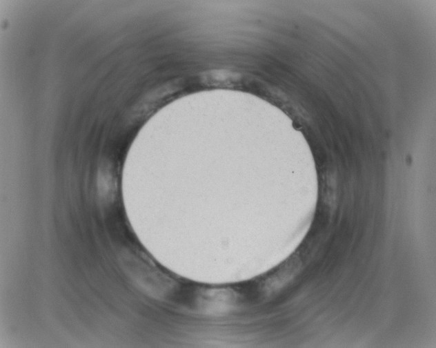 X0000082720324200702232328