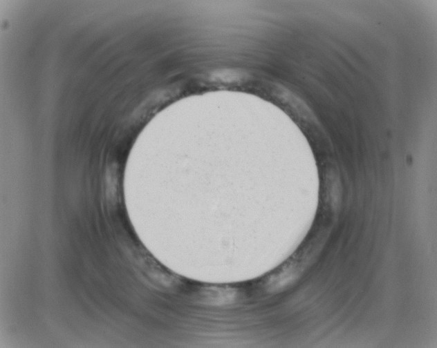X0000082720328200702232328