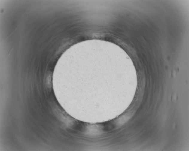 X0000082720336200702232328
