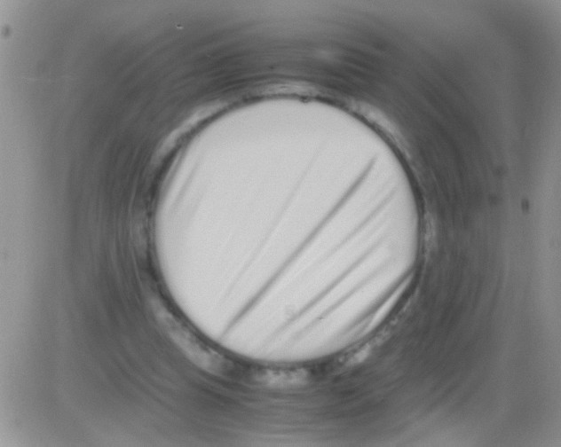 X0000082720345200702232327