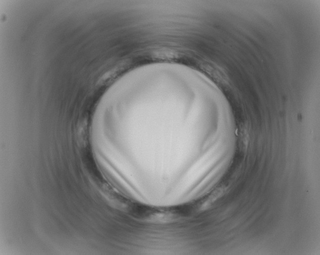 X0000082720364200702232327
