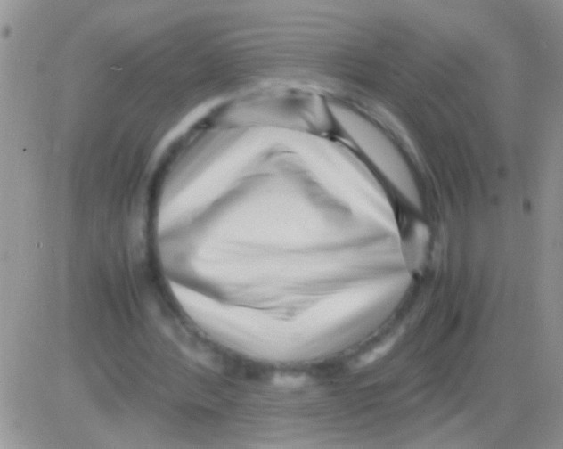 X0000082720388200702232327