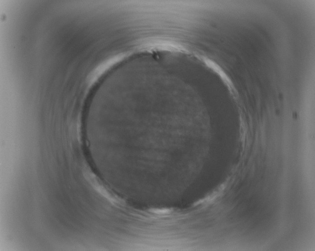 X0000082720391200702232327