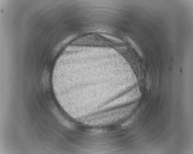X0000082720394200702232327