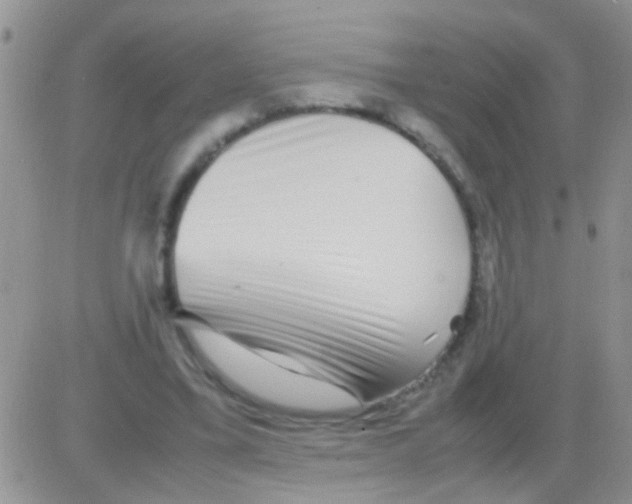 X0000082720395200702232327
