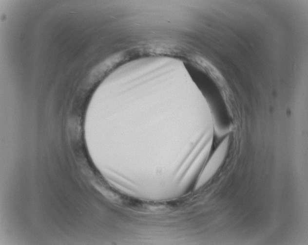 X0000082720401200702232327