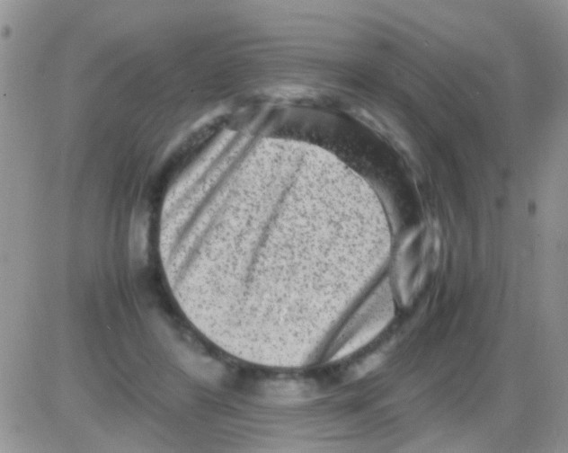 X0000082720404200702232327
