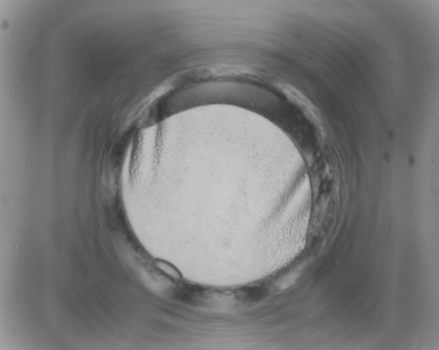 X0000082720405200702232327
