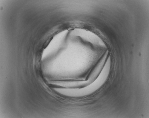 X0000082720409200702232327