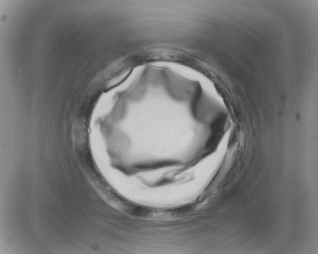 X0000082720413200702232326