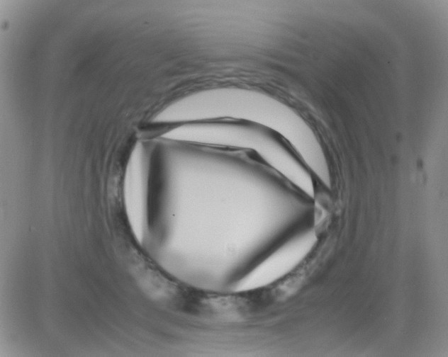 X0000082720417200702232326