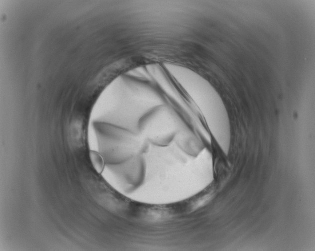 X0000082720420200702232326