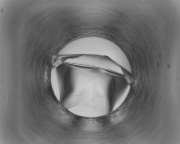 X0000082720424200702232326