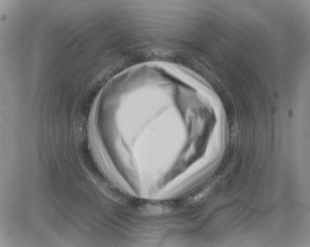 X0000082720464200702232326