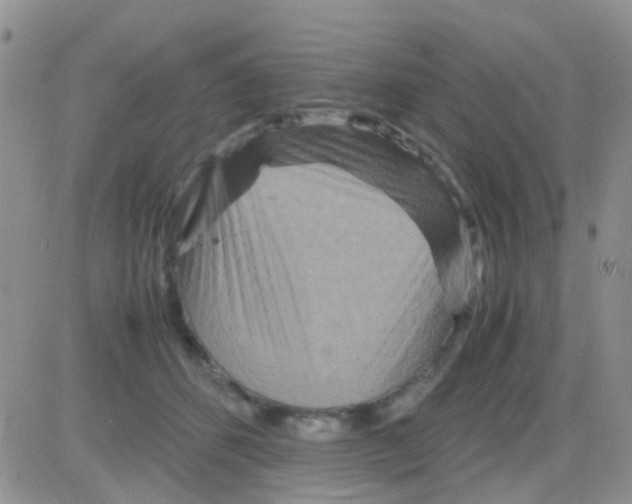 X0000082720512200702232325