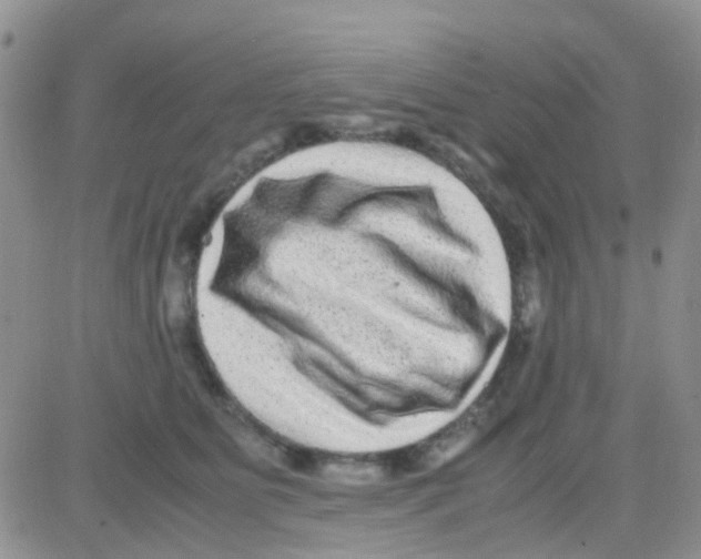 X0000082720515200702232325