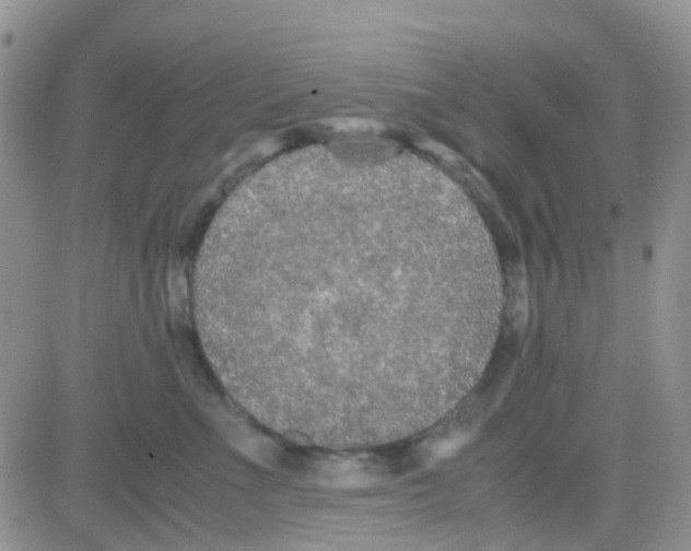 X0000082720523200702232325