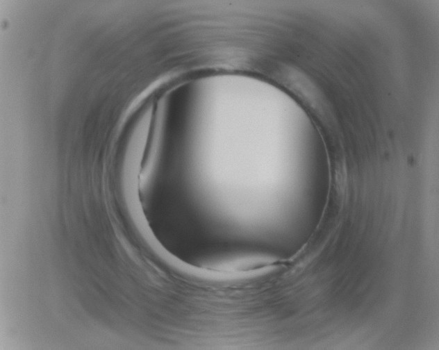 X0000082720532200702232324
