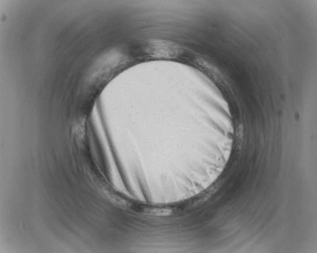 X0000082720554200702232324