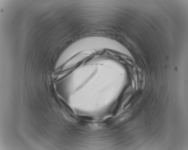 X0000082720558200702232324