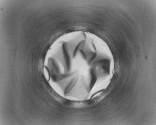 X0000082720575200702232325