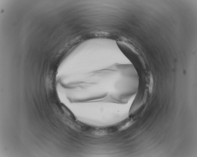 X0000082720604200702232323