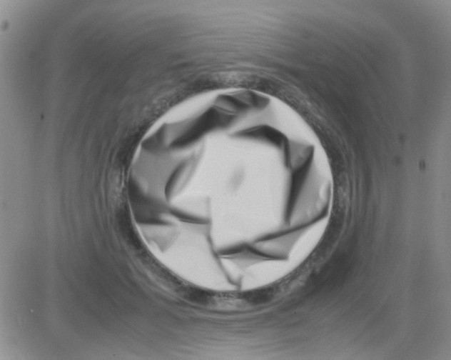 X0000082720605200702232323
