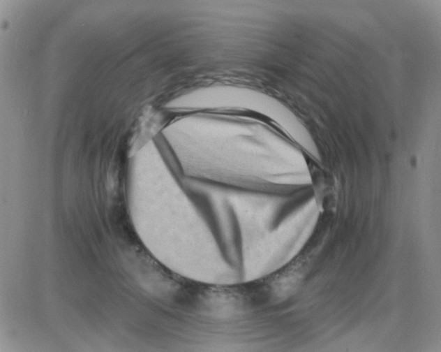 X0000082720608200702232323