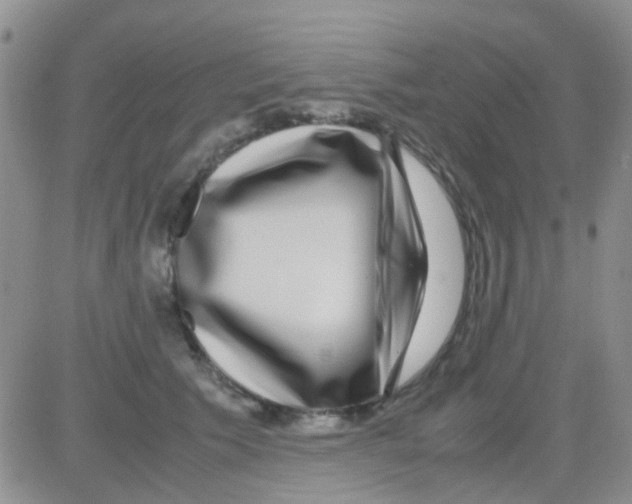 X0000082720609200702232323