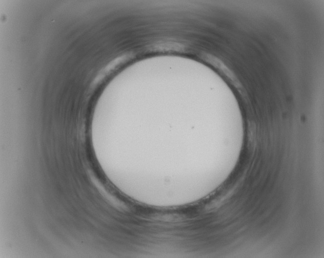 X0000082720629200702232322