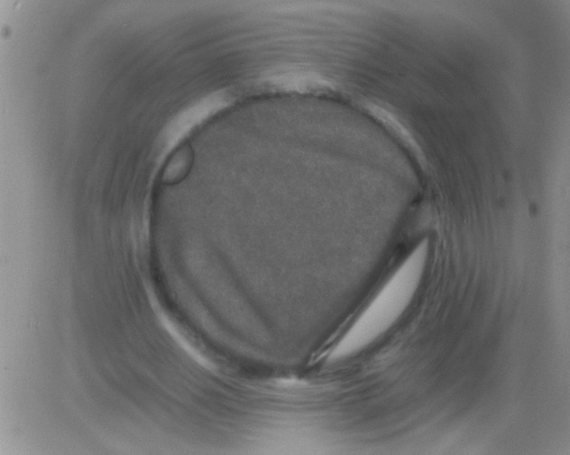 X0000082720630200702232322