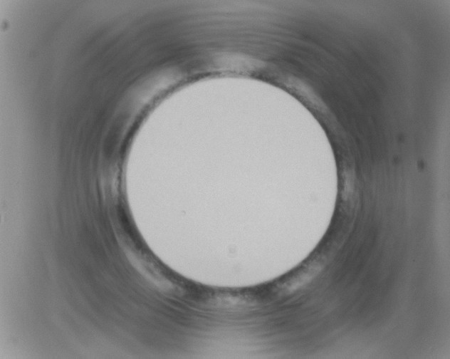 X0000082720632200702232322