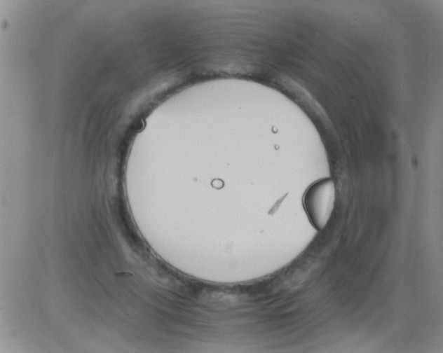 X0000082720635200702232322