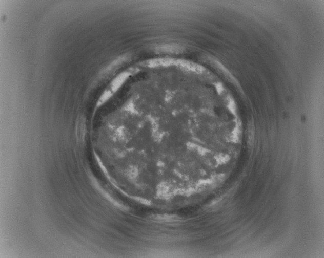 X0000082720637200702232322