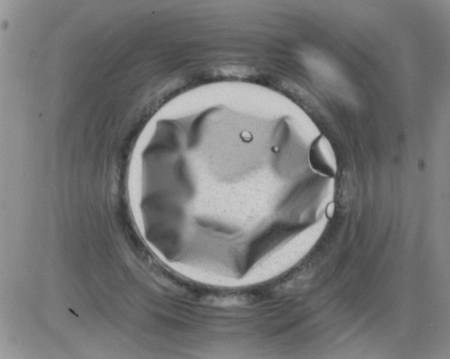 X0000082720639200702232322