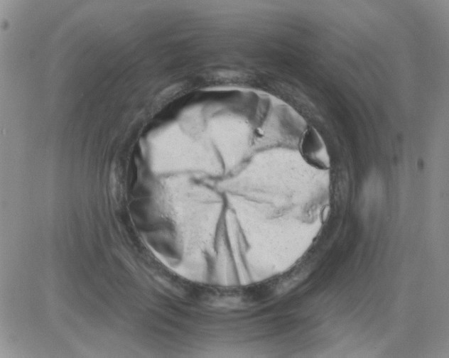 X0000082720651200702232323