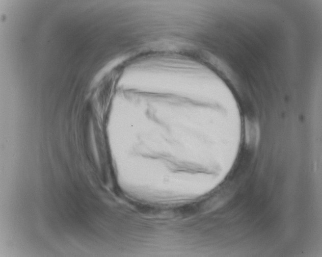 X0000082720675200702232322