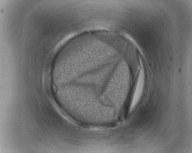 X0000082720677200702232322